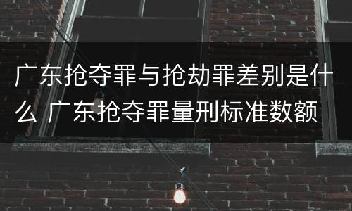 广东抢夺罪与抢劫罪差别是什么 广东抢夺罪量刑标准数额