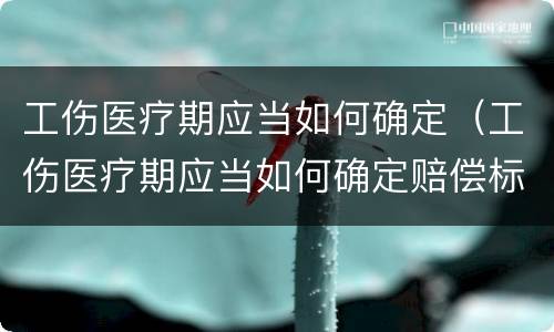 工伤医疗期应当如何确定（工伤医疗期应当如何确定赔偿标准）