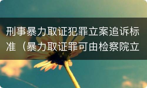 刑事暴力取证犯罪立案追诉标准（暴力取证罪可由检察院立案侦查）