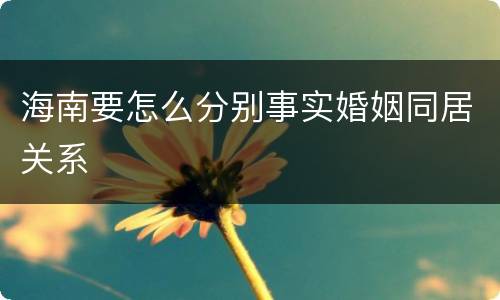 海南要怎么分别事实婚姻同居关系