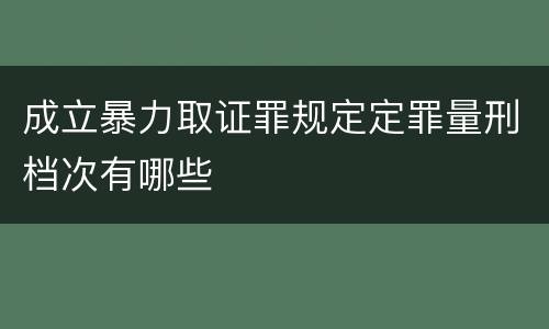 成立暴力取证罪规定定罪量刑档次有哪些