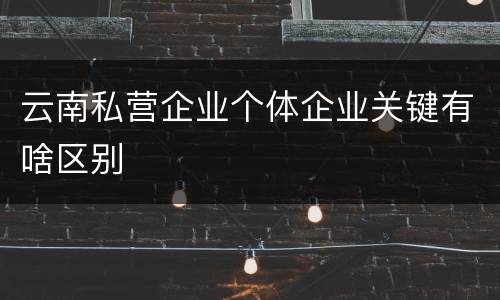云南私营企业个体企业关键有啥区别