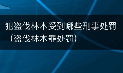 犯盗伐林木受到哪些刑事处罚（盗伐林木罪处罚）