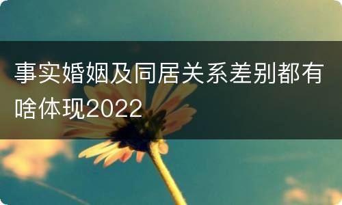事实婚姻及同居关系差别都有啥体现2022