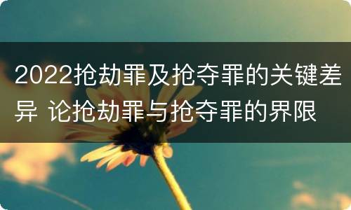 2022抢劫罪及抢夺罪的关键差异 论抢劫罪与抢夺罪的界限