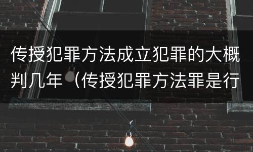 传授犯罪方法成立犯罪的大概判几年（传授犯罪方法罪是行为犯吗）