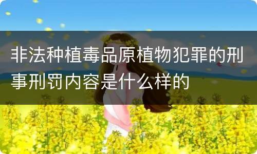 非法种植毒品原植物犯罪的刑事刑罚内容是什么样的