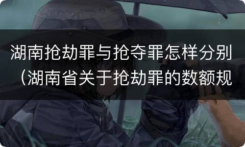 湖南抢劫罪与抢夺罪怎样分别（湖南省关于抢劫罪的数额规定）