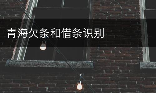 青海欠条和借条识别