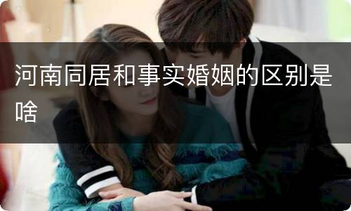 河南同居和事实婚姻的区别是啥