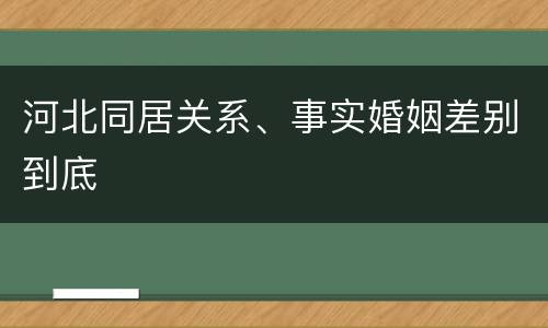 河北同居关系、事实婚姻差别到底