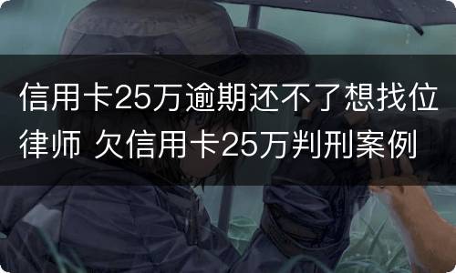 信用卡25万逾期还不了想找位律师 欠信用卡25万判刑案例