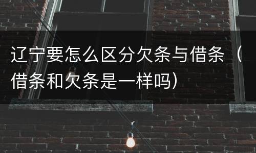辽宁要怎么区分欠条与借条（借条和欠条是一样吗）