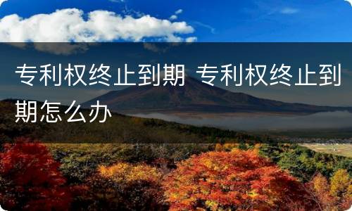 专利权终止到期 专利权终止到期怎么办
