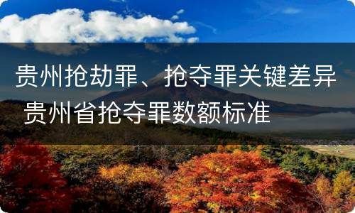 贵州抢劫罪、抢夺罪关键差异 贵州省抢夺罪数额标准