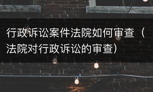 行政诉讼案件法院如何审查（法院对行政诉讼的审查）