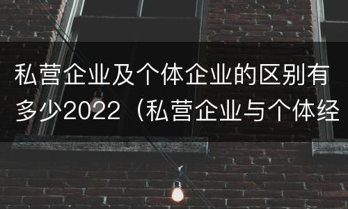 私营企业及个体企业的区别有多少2022（私营企业与个体经营企业的区别）