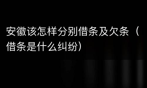 安徽该怎样分别借条及欠条（借条是什么纠纷）
