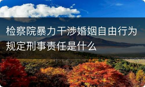 检察院暴力干涉婚姻自由行为规定刑事责任是什么