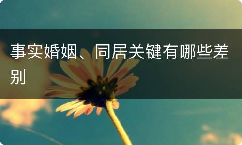 事实婚姻、同居关键有哪些差别