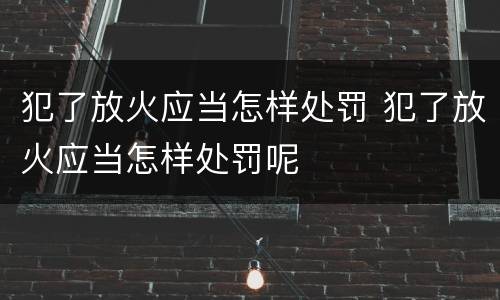 犯了放火应当怎样处罚 犯了放火应当怎样处罚呢