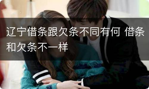 辽宁借条跟欠条不同有何 借条和欠条不一样