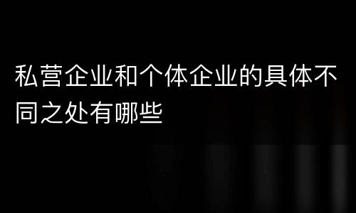 私营企业和个体企业的具体不同之处有哪些