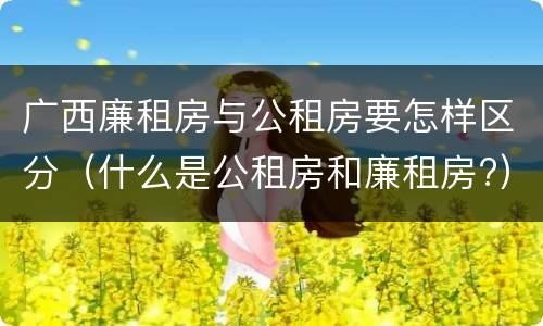 广西廉租房与公租房要怎样区分（什么是公租房和廉租房?）