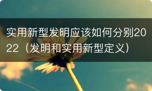 实用新型发明应该如何分别2022（发明和实用新型定义）