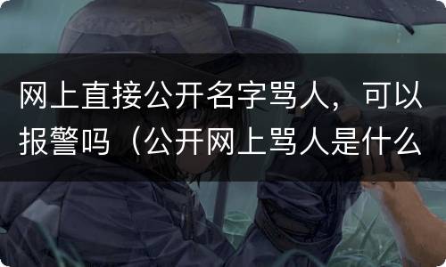 网上直接公开名字骂人，可以报警吗（公开网上骂人是什么罪?）