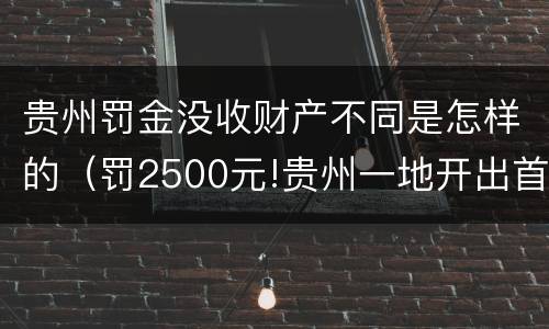 贵州罚金没收财产不同是怎样的（罚2500元!贵州一地开出首例罚单）