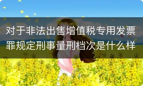 对于非法出售增值税专用发票罪规定刑事量刑档次是什么样