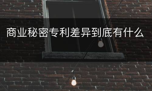商业秘密专利差异到底有什么