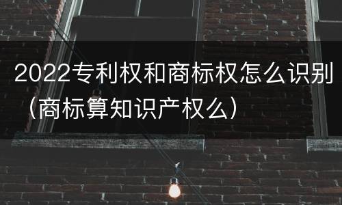 2022专利权和商标权怎么识别（商标算知识产权么）