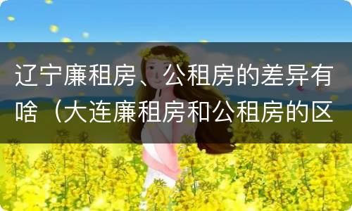 辽宁廉租房、公租房的差异有啥（大连廉租房和公租房的区别）