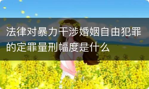 法律对暴力干涉婚姻自由犯罪的定罪量刑幅度是什么