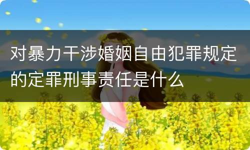 对暴力干涉婚姻自由犯罪规定的定罪刑事责任是什么