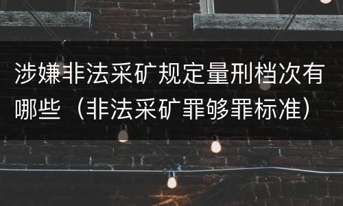 涉嫌非法采矿规定量刑档次有哪些（非法采矿罪够罪标准）