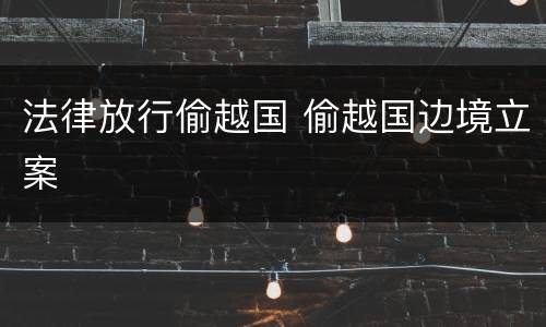 法律放行偷越国 偷越国边境立案