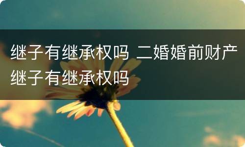继子有继承权吗 二婚婚前财产继子有继承权吗