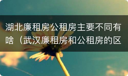 湖北廉租房公租房主要不同有啥(武汉廉租房和公租房的区别)