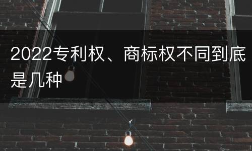 2022专利权、商标权不同到底是几种