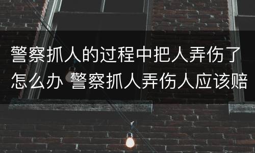 警察抓人的过程中把人弄伤了怎么办 警察抓人弄伤人应该赔么