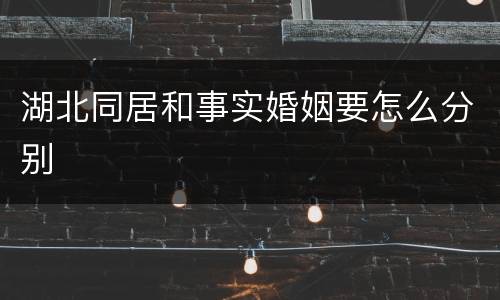 湖北同居和事实婚姻要怎么分别