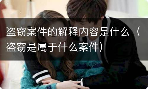 盗窃案件的解释内容是什么（盗窃是属于什么案件）