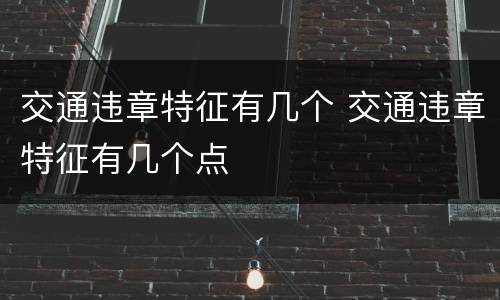 交通违章特征有几个 交通违章特征有几个点