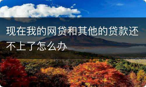 现在我的网贷和其他的贷款还不上了怎么办