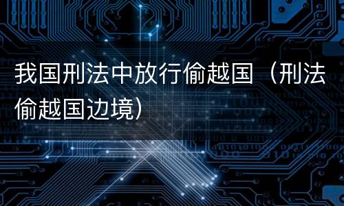 我国刑法中放行偷越国（刑法偷越国边境）