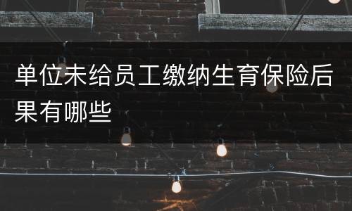 单位未给员工缴纳生育保险后果有哪些