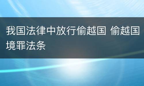 我国法律中放行偷越国 偷越国境罪法条